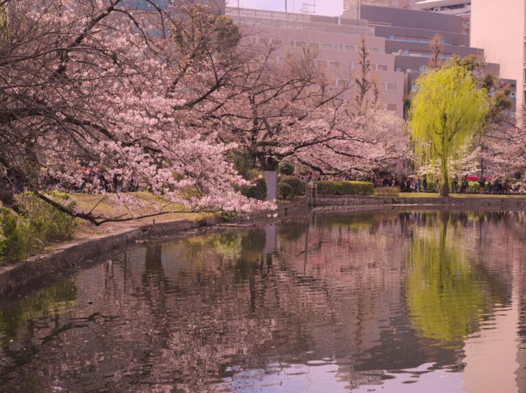 Fe5c7So1ZANKFY9yqU50dn07Zar6cftbA3J9Hk5dO9VW58l7UuSAhifigc2DPC8Pw_F6WNgjMfVx6kBXlx_uRFa8rGVOTdTJpIEEpVBnwFbQuRzojtutTjyTn0a_jREcNGWo7TziGDezQoR2B4nXK1nMehqRSKtRl-cw2QDXAQfzVRrb7Bkn5M6c_b4kaHCy